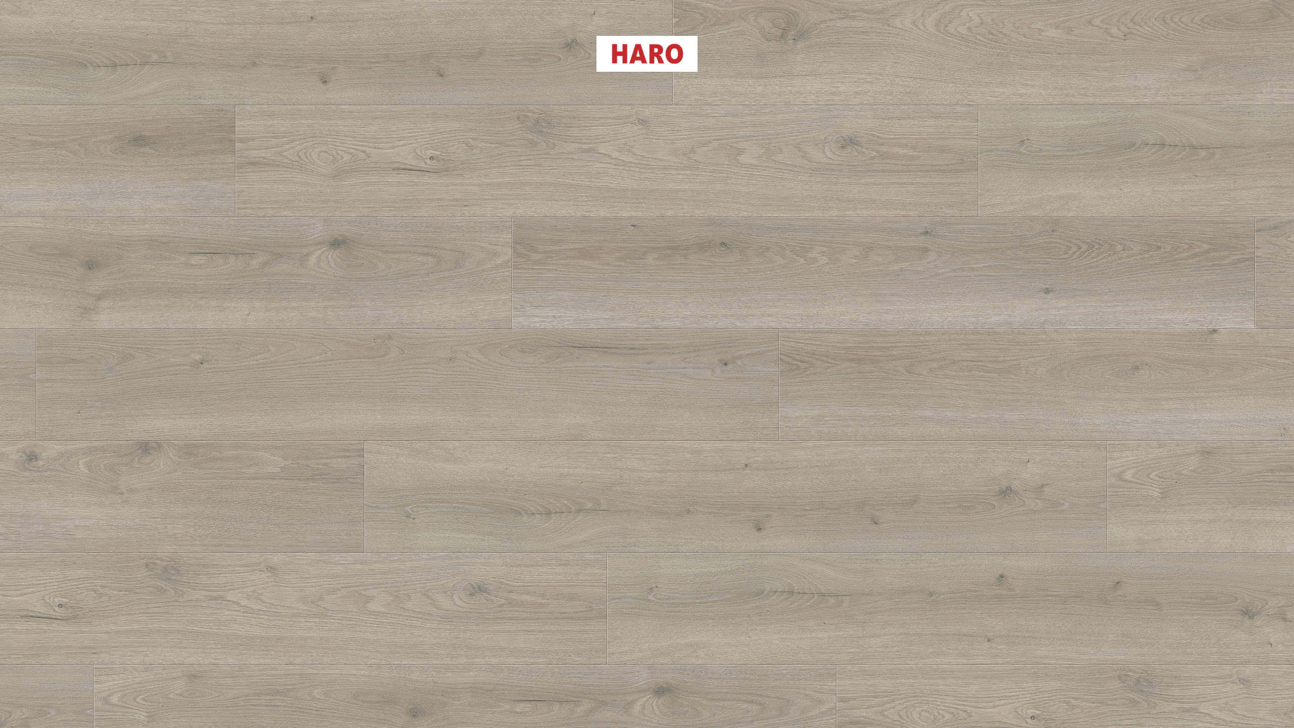 Panele Podłogowe Tritty 100 4V Standard Oak Flavia Grey AC4/8mm Haro